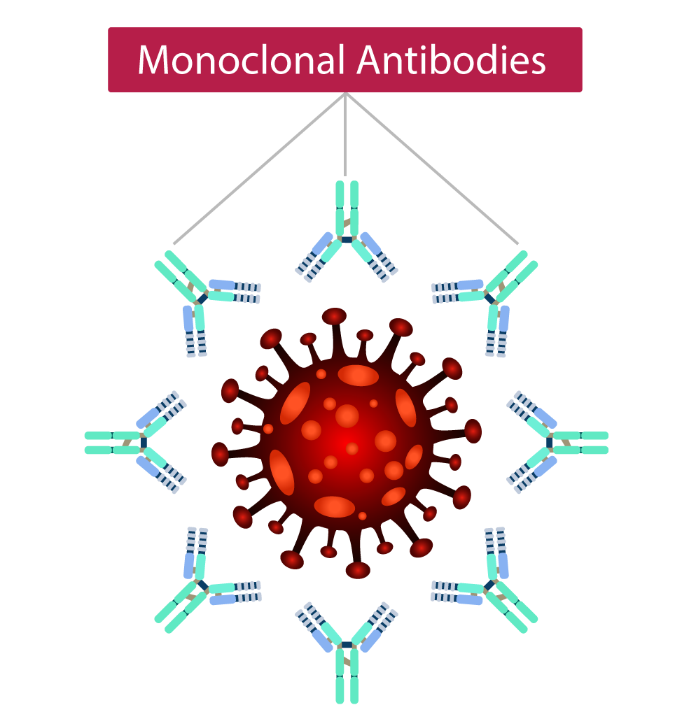 COVID19 Monoclonal Antibodies and Effectiveness Against Variants